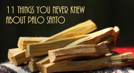 About Palo Santo